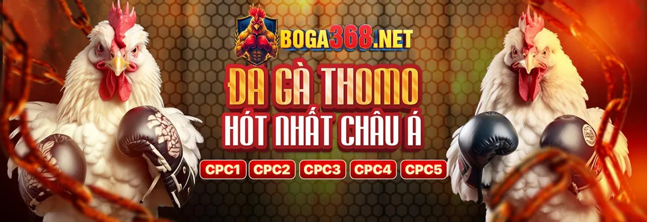 Sân vận động với không khí sôi động của cá cược thể thao PK8