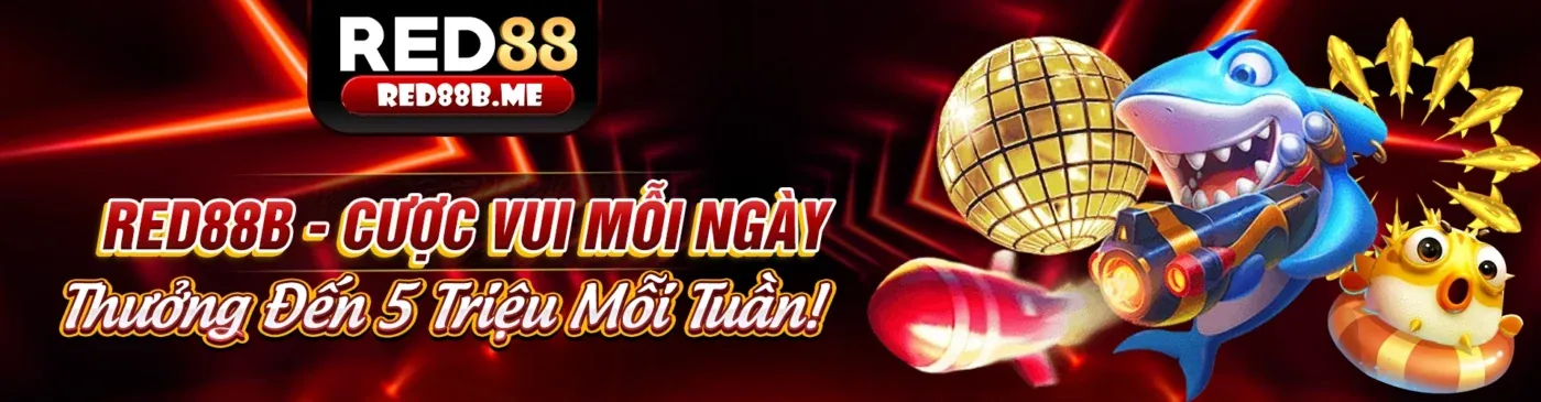Khuyến mãi PK8 2026 Chính Thức